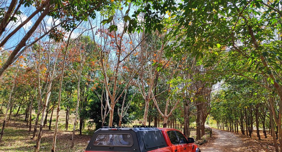 For sale land in Pak Chom, Loei