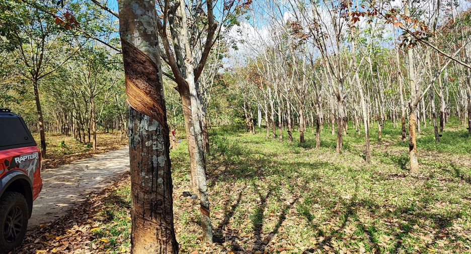 For sale land in Pak Chom, Loei