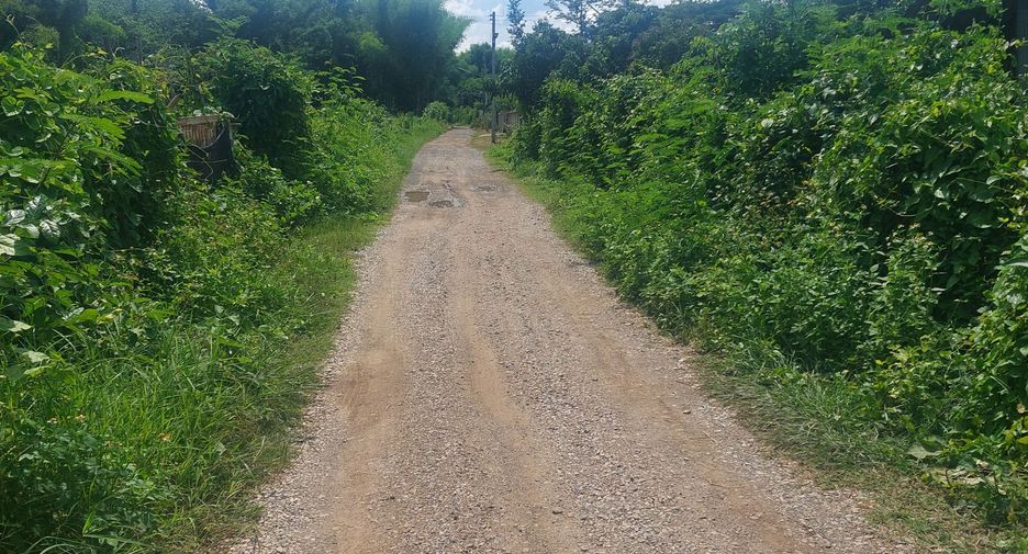 For sale land in Mueang Phayao, Phayao