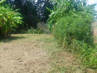 À vendre terrain à Mueang Phayao, Phayao