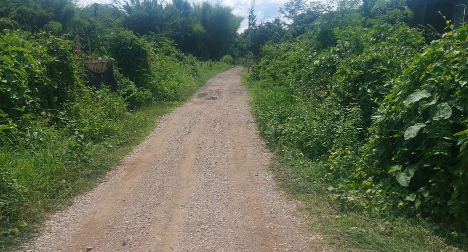 For sale land in Mueang Phayao, Phayao