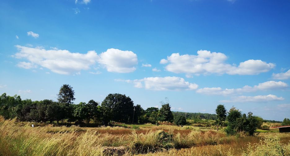 For sale land in Mueang Khon Kaen, Khon Kaen