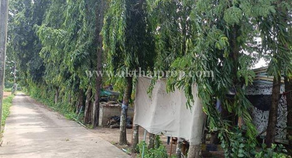 Grundstück zum Kauf in Phanat Nikhom, Chonburi