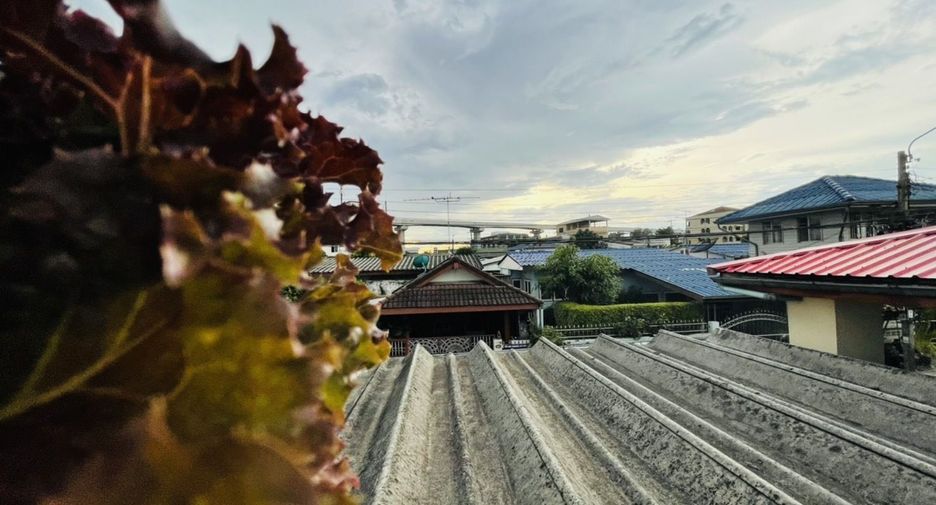 出售 和 出租 2 卧室 独立屋 在 Mueang Nonthaburi, Nonthaburi