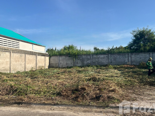 Продажа Участок в Ban Bueng, Чонбури