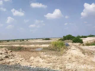 For sale land in Dan Khun Thot, Nakhon Ratchasima
