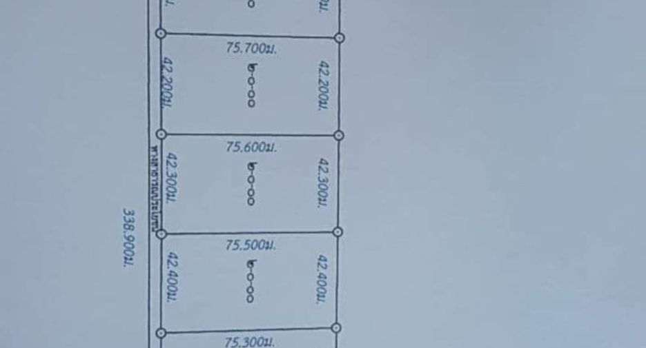 For sale land in Dan Chang, Suphan Buri