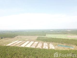 Grundstück zum Kauf in Kabin Buri, Prachin Buri