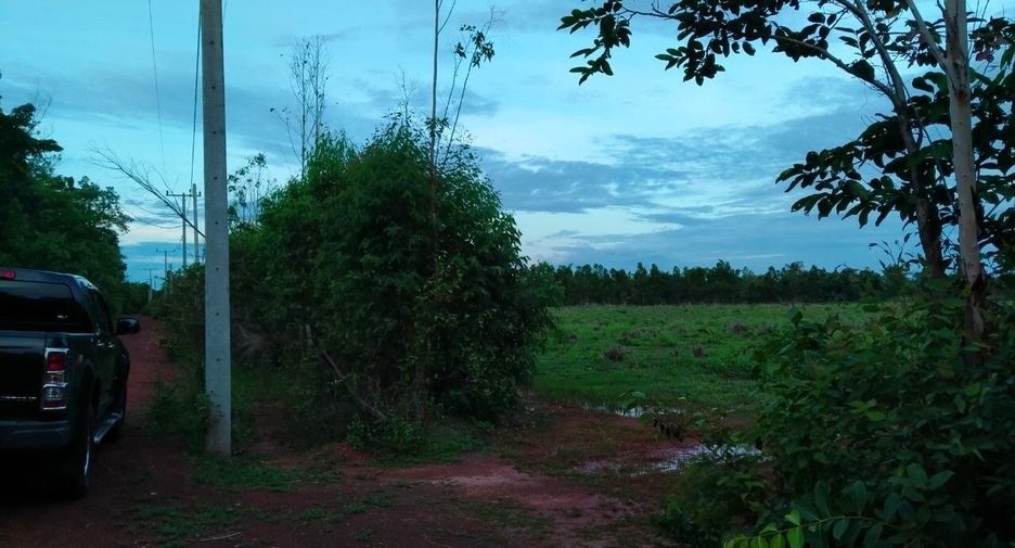 For sale land in Phanna Nikhom, Sakon Nakhon