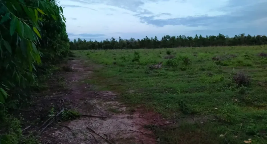 For sale land in Phanna Nikhom, Sakon Nakhon