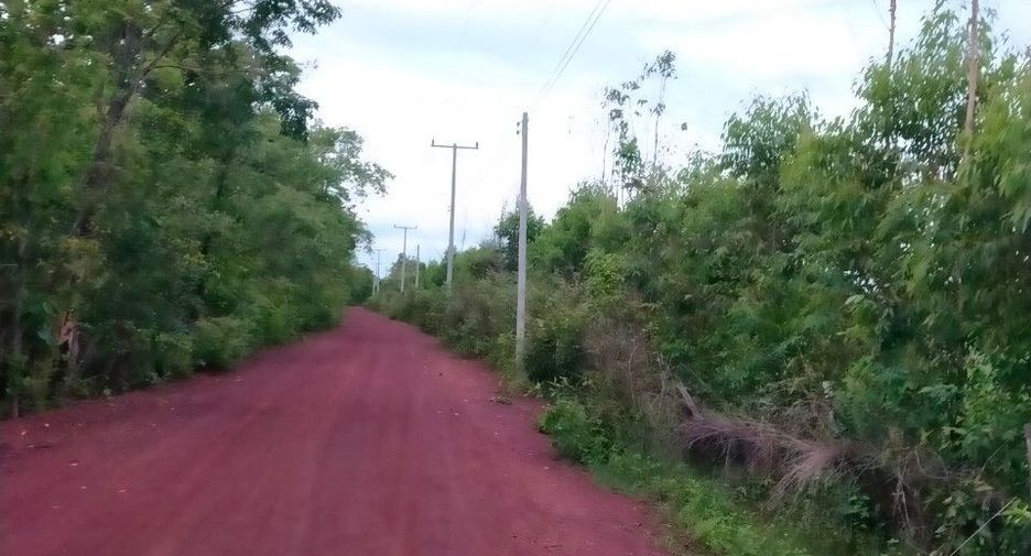 For sale land in Phanna Nikhom, Sakon Nakhon