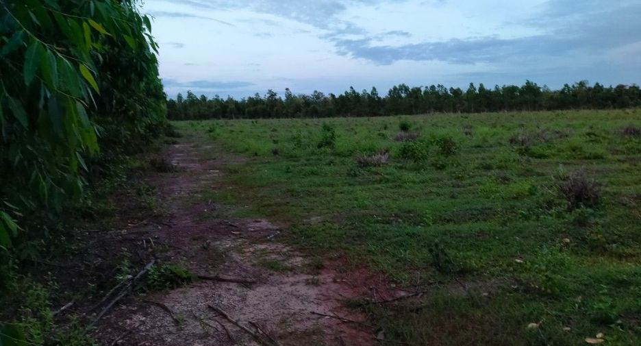 For sale land in Phanna Nikhom, Sakon Nakhon
