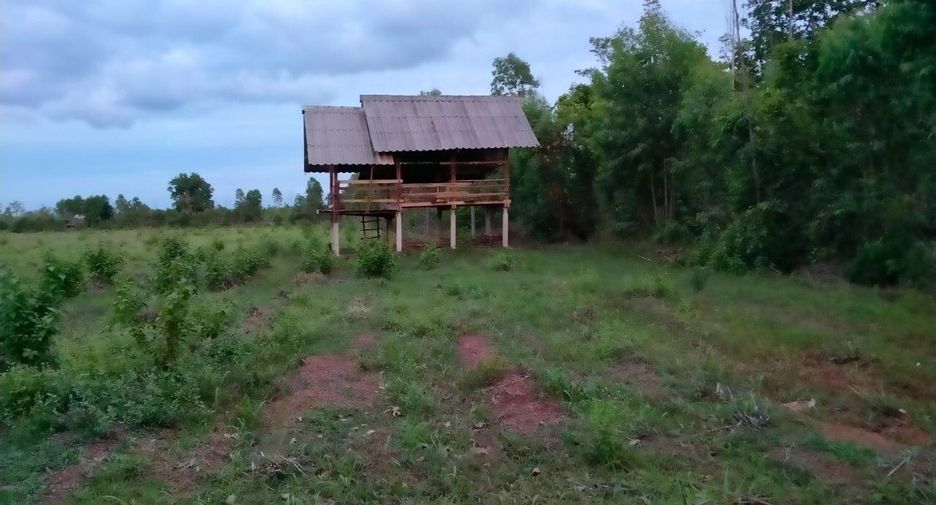 For sale land in Phanna Nikhom, Sakon Nakhon