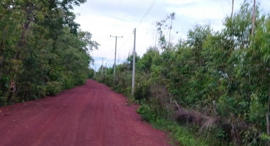 For sale land in Phanna Nikhom, Sakon Nakhon
