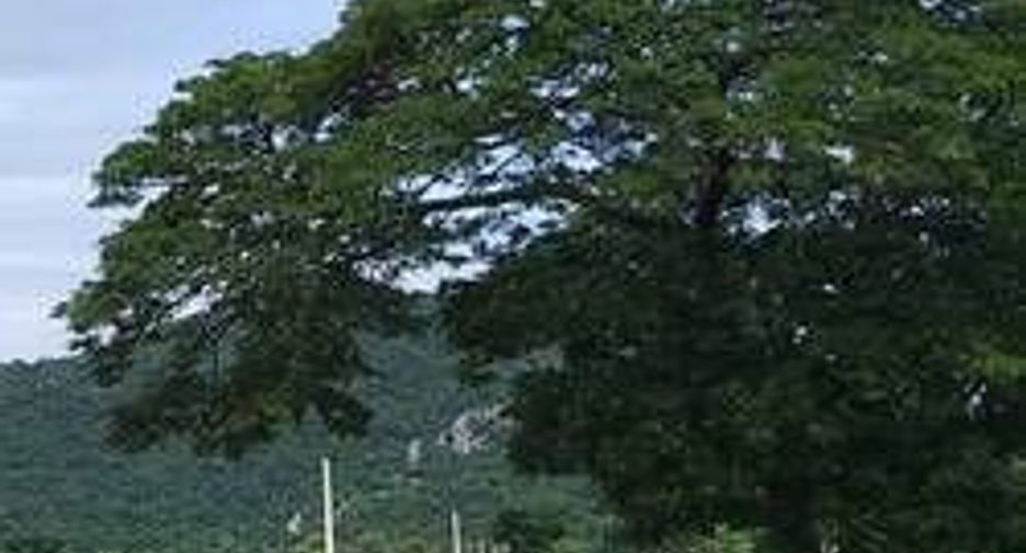 For sale land in Mueang Nakhon Sawan, Nakhon Sawan