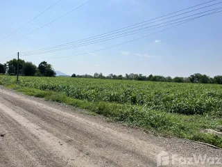 For sale land in Nong Muang, Lopburi