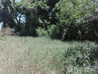 Terreno en venta en Pho Thong, Ang Thong