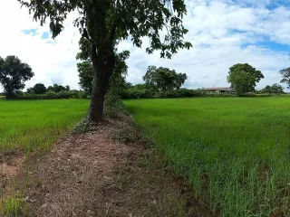 Terreno en venta en Non Sung, Nakhon Ratchasima