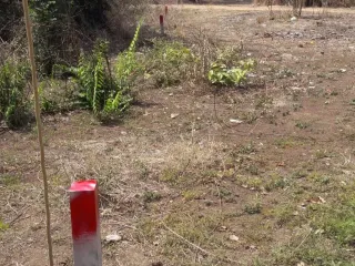 出售 土地 在 Mueang Nakhon Sawan, Nakhon Sawan