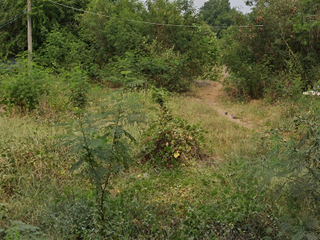 出售 土地 在 Mueang Nakhon Sawan, Nakhon Sawan