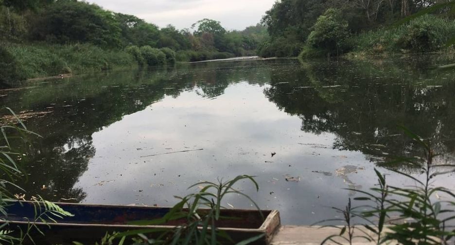 For sale land in Phu Phiang, Nan