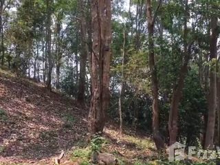 Продажа Участок в Phu Phiang, Nan
