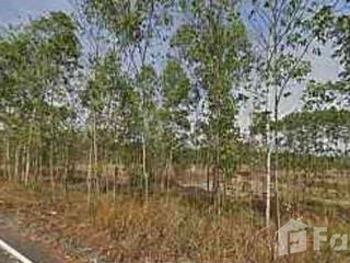Grundstück zum Kauf in Kabin Buri, Prachin Buri