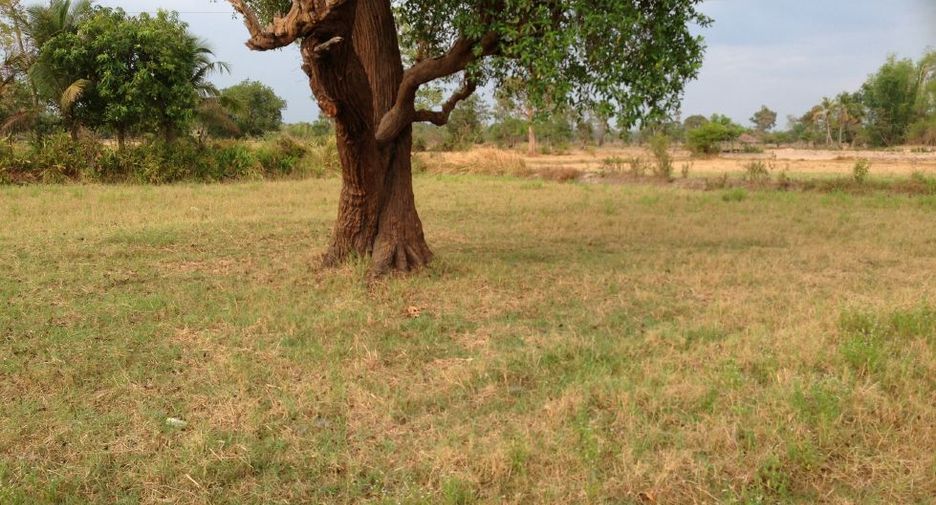 For sale land in Muang Sam Sip, Ubon Ratchathani