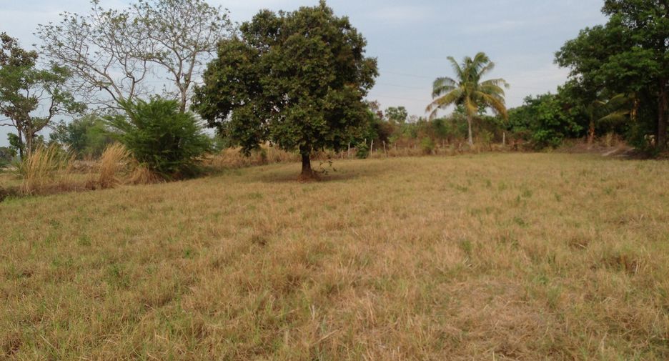 For sale land in Muang Sam Sip, Ubon Ratchathani