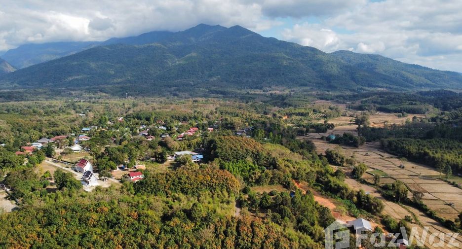 For sale land in Tha Wang Pha, Nan