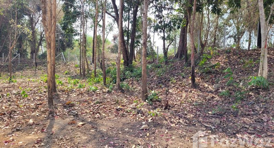For sale land in Tha Wang Pha, Nan