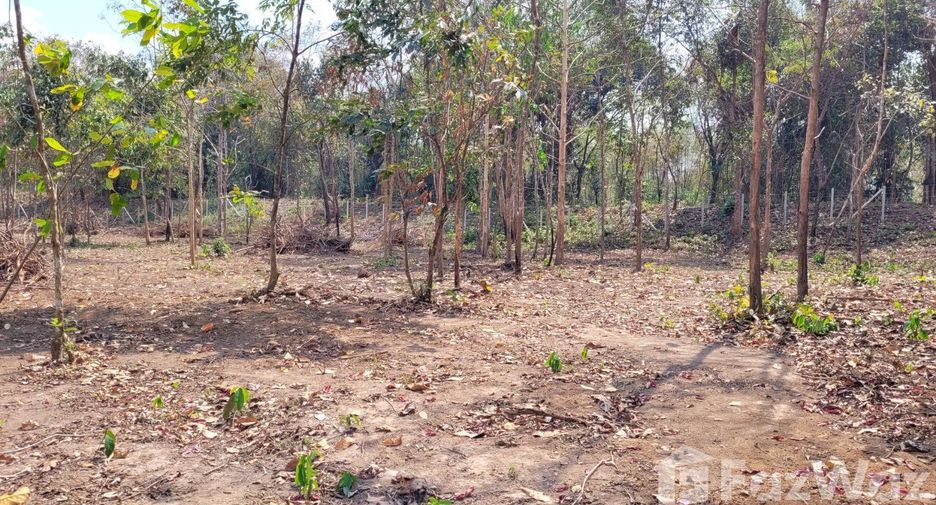 For sale land in Tha Wang Pha, Nan