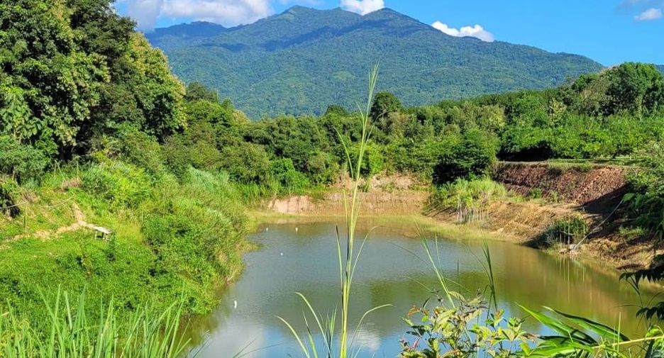 For sale land in Tha Wang Pha, Nan