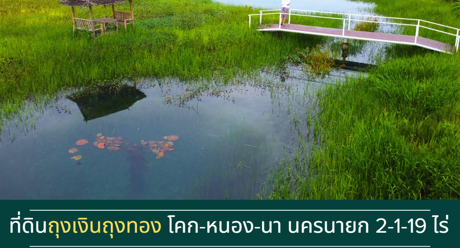 À vendre terrain à Mueang Nakhon Nayok, Nakhon Nayok