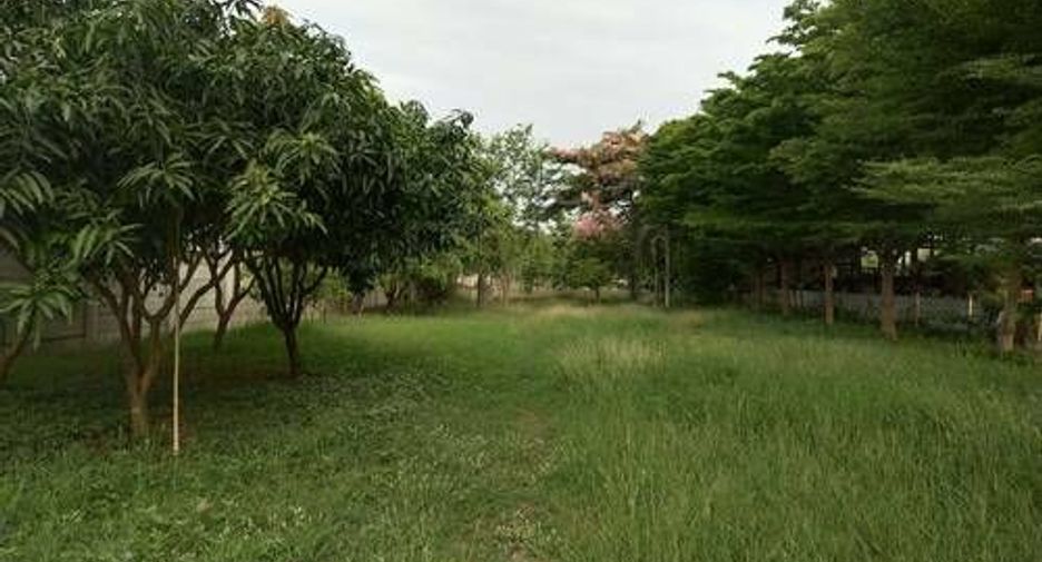 出售 3 卧室 独立屋 在 Kamphaeng Saen, Nakhon Pathom