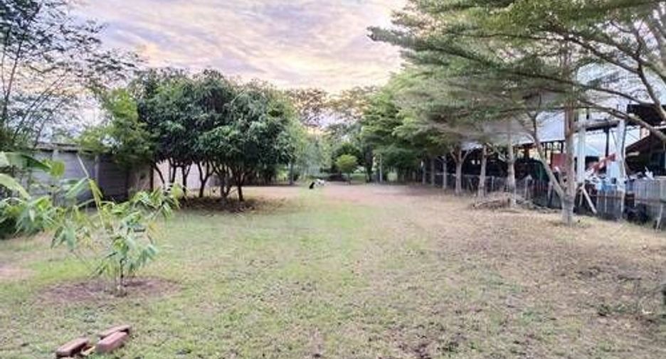 出售 3 卧室 独立屋 在 Kamphaeng Saen, Nakhon Pathom