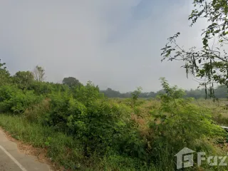 出售 土地 在 Pak Chom, Loei