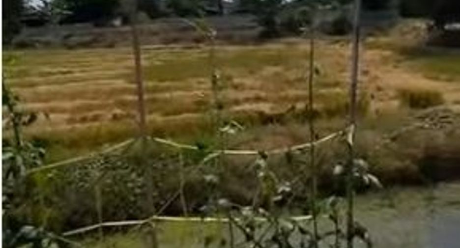 Продажа Участок в Mueang Nakhon Pathom, Накхонпатхом
