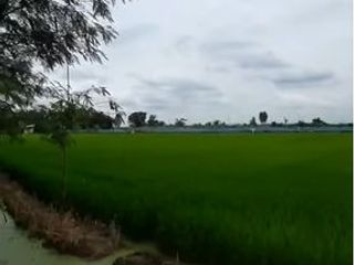 Grundstück zum Kauf in Mueang Nakhon Pathom, Nakhon Pathom
