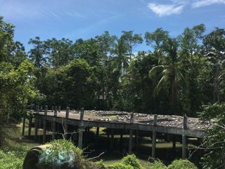 For sale land in Tha Sala, Nakhon Si Thammarat