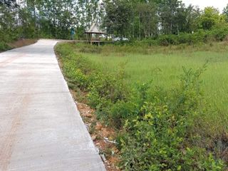 For sale land in Prachantakham, Prachin Buri