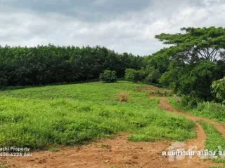 For sale land in Mueang Chiang Rai, Chiang Rai