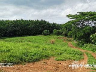 À vendre terrain à Mueang Chiang Rai, Chiang Rai