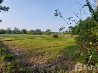 For sale land in Mueang Ubon Ratchathani, Ubon Ratchathani