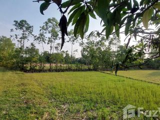 For sale land in Mueang Ubon Ratchathani, Ubon Ratchathani