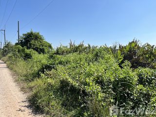 Grundstück zum Kauf in Bang Nam Priao, Chachoengsao