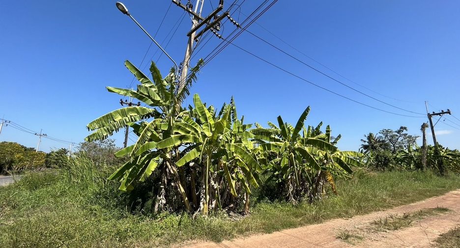 À vendre terrain à Bang Nam Priao, Chachoengsao