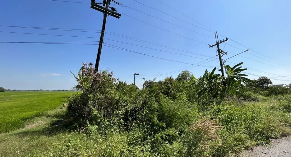 À vendre terrain à Bang Nam Priao, Chachoengsao