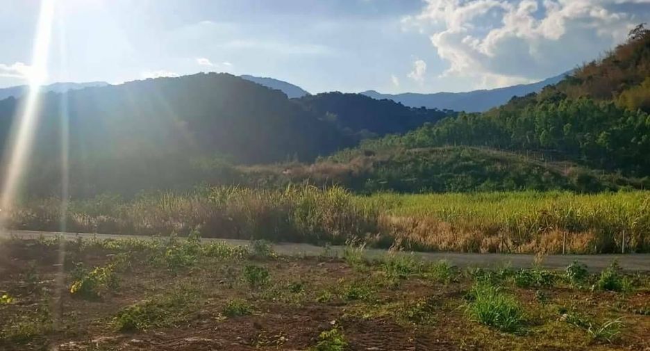 For sale land in Suan Phueng, Ratchaburi