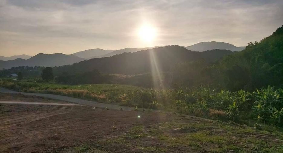 For sale land in Suan Phueng, Ratchaburi